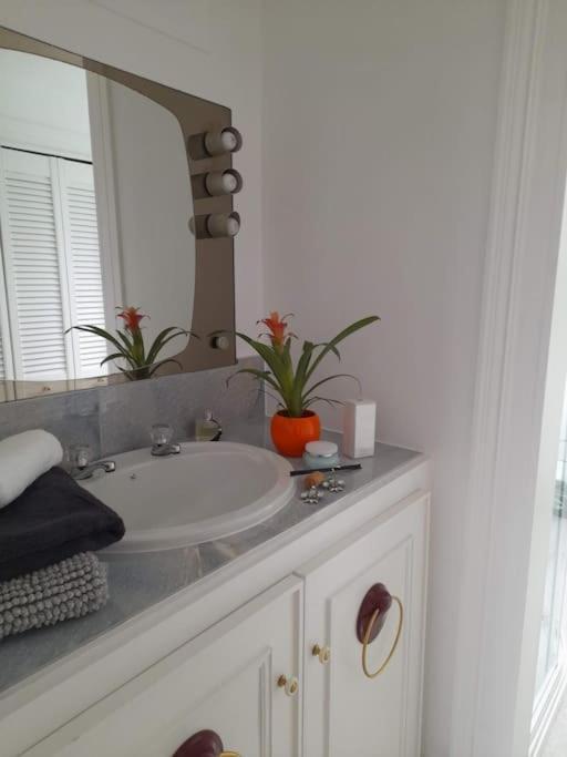 Paris Rooftop Studio At The Residence, Bantry Ngoại thất bức ảnh